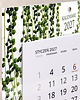 kalendarze i plannery Kalendarz Ścienny Pojedynczy 2027 Botaniczny A4 3