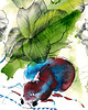 grafiki i ilustracje Skarabeusz 2 - grafika 1