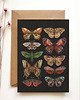 kartki okolicznościowe - wydruki Kartka motyle, kartka okolicznościowa, pocztówka kwiaty, karta botaniczna 1