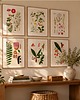 grafiki i ilustracje Ilustracje botaniczne vintage grafiki kwiaty do kuchni 2