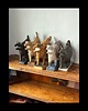 figurki i rzeźby Pies ceramiczny 3