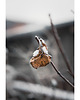 fotografia Ośnieżony liść I 1