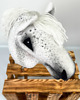 zabawki - inne Hobby Horse - tarant Vol 2 - A2-A5 4