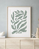 grafiki i ilustracje PLAKAT BOTANICZNY  ROŚLINA ilustracja 7