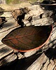 pojemniki na biżuterię Ceramiczna podstawka Elegancja brązu 2