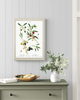 grafiki i ilustracje PLAKATY botaniczne ilustracje oliwki 4