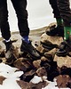 skarpetki damskie Kolorowe Skarpetki - Dogcats Socks 1