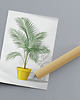 plakaty Plakat - Palma Areca 1