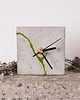 zegary Kwadratowy betonowy zegar stołowy z chrobotkiem reniferowym - jasny 1
