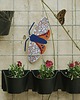 plakaty Plakat Ornete Moth - dekoracja ścienna motyl 4