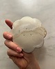 pojemniki na biżuterię Ceramiczna Miseczka Kwiat na Drobiazgi Biżuterię Pearl Matte 3