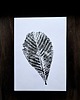 grafiki i ilustracje Grafika plakat print roślinny 5