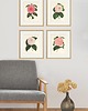 grafiki i ilustracje Zestaw Grafik Botanicznych Vintage 7