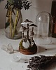 figurki i rzeźby Dekoracja z grzybami - szklany klosz kopułka z Kaniami 5