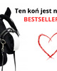 zabawki - inne Hobby Horse  VIP - kary A2-A5 7