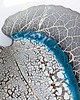 patery i talerze Patera dekoracyjno BIG LEAF- szara 7