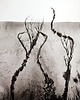 obrazy Obraz 30X40 cm malowany ręcznie 2