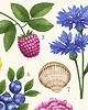 plakaty Plakat  "Lato" 30x40cm 4
