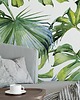 tapety i naklejki ścienne Tapeta Monstera Leaves 1