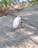 pierścionki - różne Kamień księżycowy - pierścionek regulowany 4
