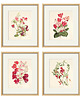 grafiki i ilustracje Zestaw Grafik Botanicznych Vintage 1