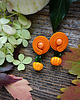 kolczyki soutache Dynie- jesienne kolczyki soutache 3