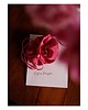 chokery Choker jedwabny 1
