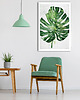 obrazy Obraz na płótnie LIŚCIE MONSTERA 80x120cm 1