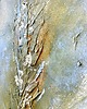 obrazy Złote Kłosy Abstrakcyjny obraz malowany ręcznie 100x70cm 7