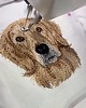 t-shirt damskie Koszulka GOLDEN RETRIEVER 100% bawełna 3