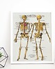 plakaty Plakat retro- anatomia 2