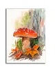 grafiki i ilustracje Akwarele ręcznie malowane "Grzybki" zestaw 3szt 4