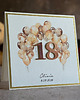 kartki scrapbooking Kartka na 18 urodziny z pudełkiem i kopertą, BH 20D 1
