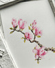 obrazy Akwarela magnolia 1