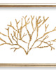 grafiki i ilustracje PLAKAT dekoracyjny ,koralowiec grafika, beżowy obraz 3