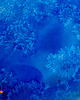 patery i talerze Talerzyk ,,blue moon" -  porcelana 1