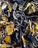kuchnia - różne Herbata "Złoty Świt" - Earl Grey z twistem 2