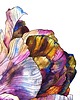 obrazy "Kolorowy tulipan" 29.5*41.5 cm/ akwarela 4
