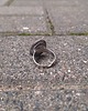 pierścionki - różne Spojrzenie w niebo - pierścionek regulowany 2