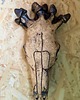 Ozdoby na ścianę Rzeźba ceramiczna - dekoracja ścienna 4