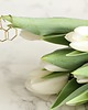 kolczyki z mosiądzu Minimalist Hexagon Earrings 1