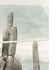 plakaty cactus vintage fotografia plakat 3
