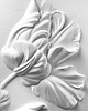 obrazy Tulipan gipsowa płaskorzeźba, dekoracja, strukturalny obraz 60x90 cm 1