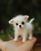 figurki i rzeźby Chihuahua Miniatura 3