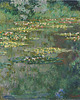 obrazy Lilie wodne - Claude Monet - obraz na płótnie lub plakat 1