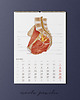 kalendarze i plannery Kalendarz Anatomiczny 2026 3