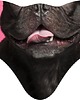 maseczki ochronne Maska FUN MASK BULLDOG 2