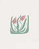 plakaty Szafirek/ seria Herbarium plakat 40x40 cm 1