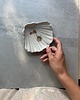 pojemniki na biżuterię Podstawka na Biżuterię Palo Santo Ceramiczna Muszelka Perłowa Biel 6