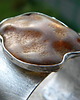 bransoletki wire wrapping Bursztyn / chalcedon -  bransoleta mankiet CUFF 1